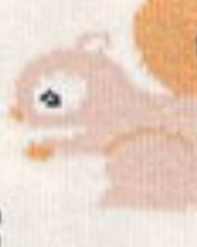 کرم طرح سنجاب